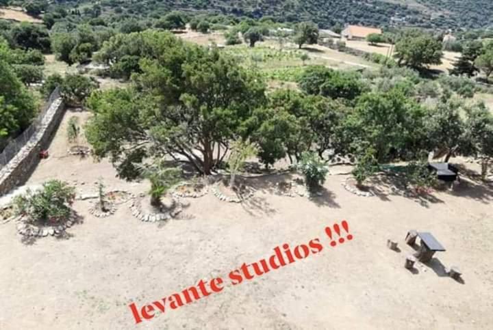 Apartment Levante αndros *