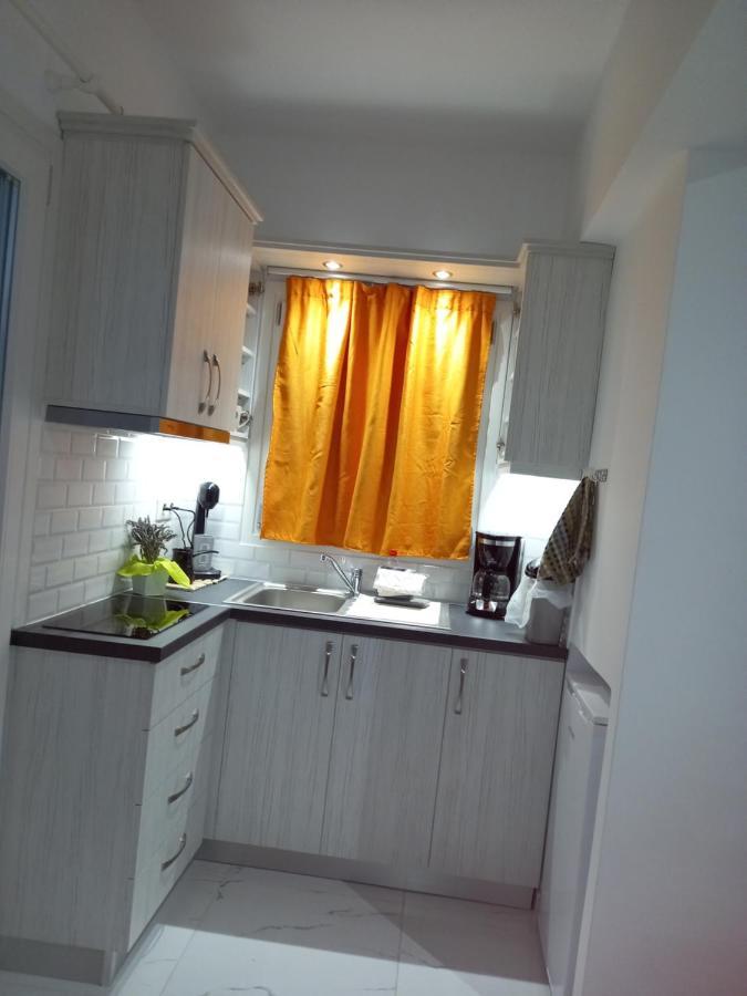 Levante αndros Apartment Menites